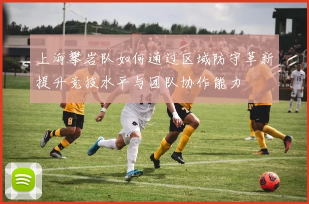 上海攀岩队如何通过区域防守革新提升竞技水平与团队协作能力