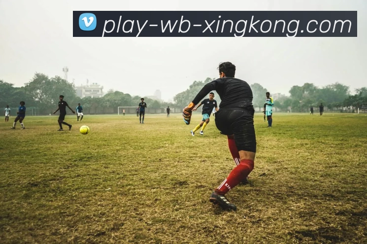 xk星空服务体系